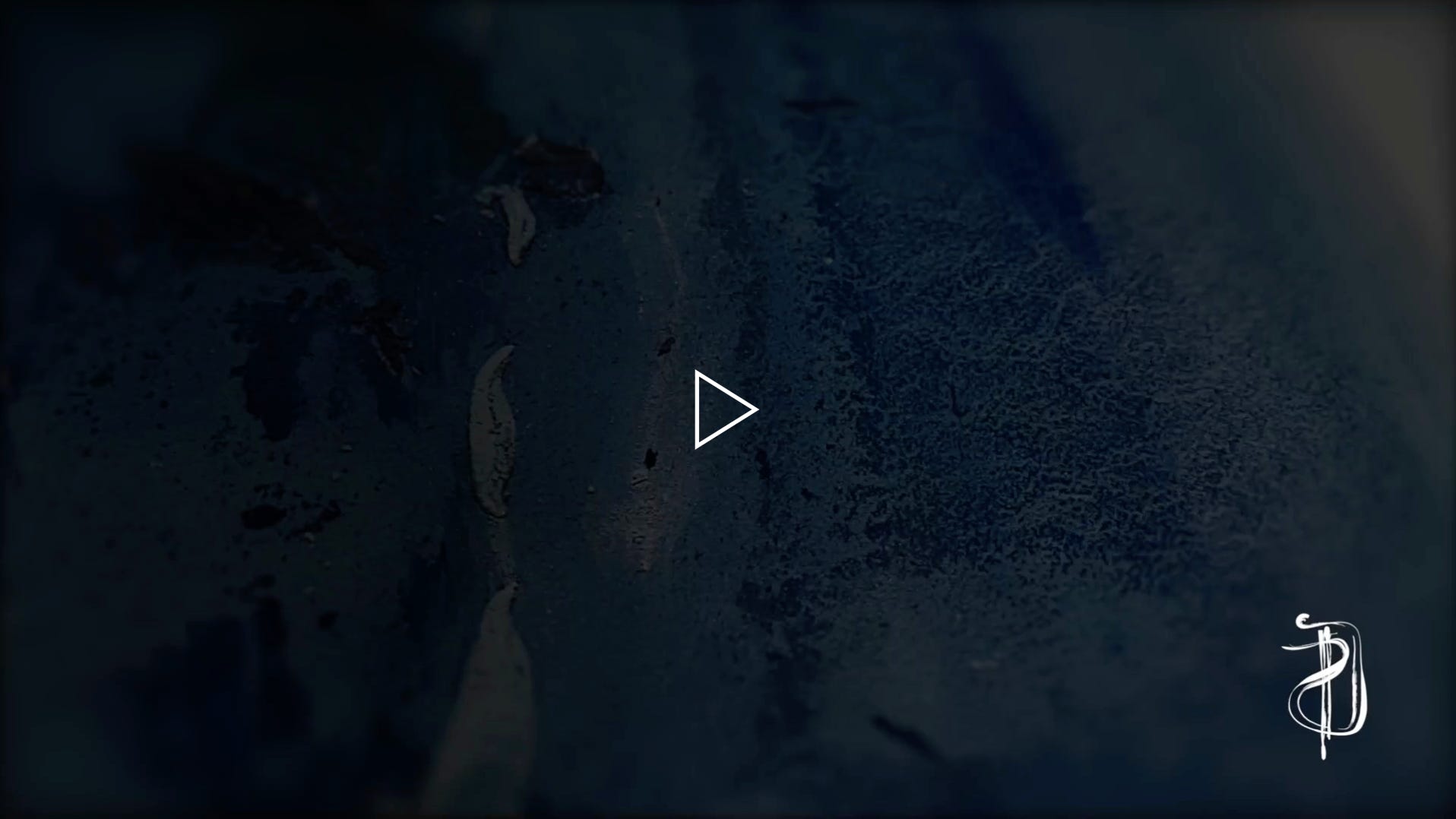 Lire la vidéo